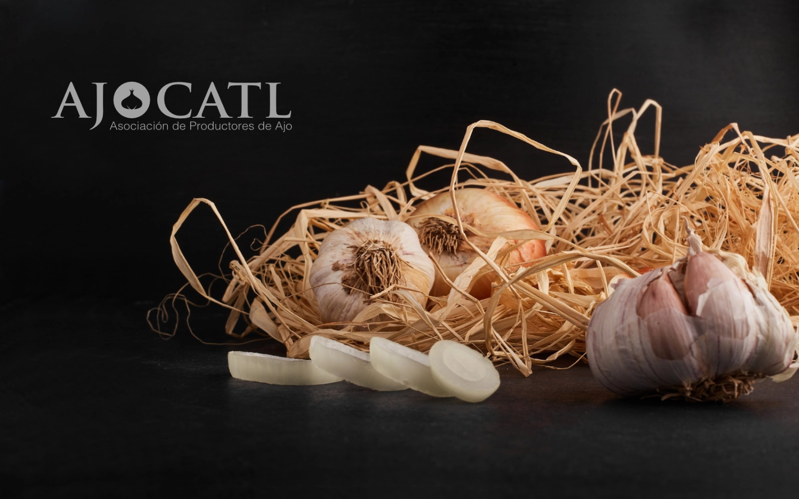 Ajocatl